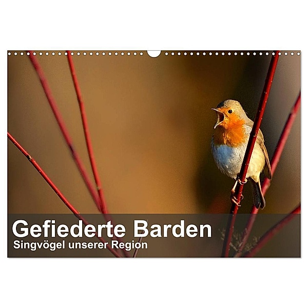 Gefiederte Barden - Singvögel unserer Region (Wandkalender 2024 DIN A3 quer), CALVENDO Monatskalender, Alexander Krebs