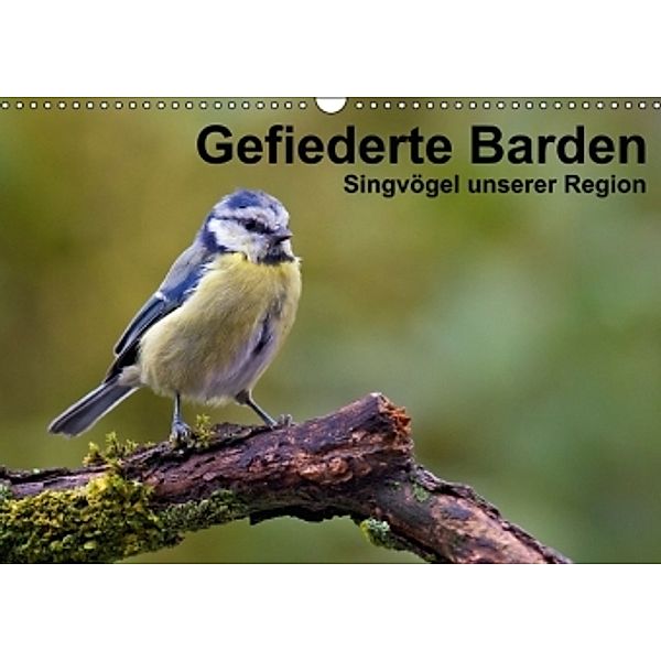 Gefiederte Barden (Wandkalender 2014 DIN A3 quer), Alexander Krebs