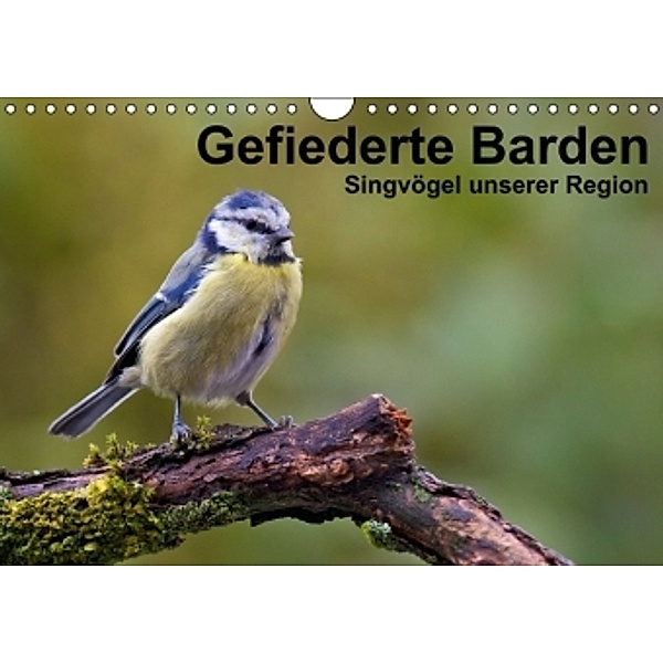 Gefiederte Barden (Wandkalender 2014 DIN A4 quer), Alexander Krebs