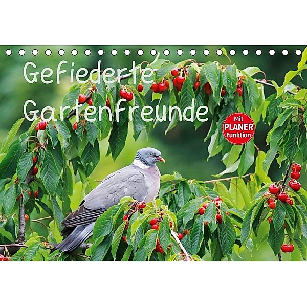 Gefiederte Gartenfreunde (Tischkalender 2018 DIN A5 quer), Anette Jäger
