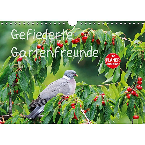 Gefiederte Gartenfreunde (Wandkalender 2019 DIN A4 quer), Anette Jäger