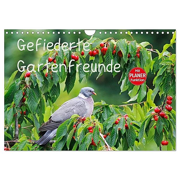 Gefiederte Gartenfreunde (Wandkalender 2024 DIN A4 quer), CALVENDO Monatskalender, Anette/Thomas Jäger