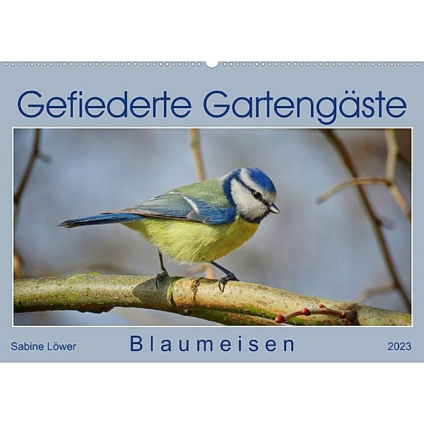 Gefiederte Gartengäste, Blaumeisen (Wandkalender 2023 DIN A2 quer), Sabine Löwer