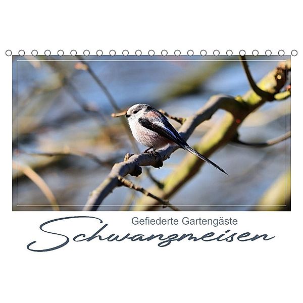 Gefiederte Gartengäste, Schwanzmeisen (Tischkalender 2023 DIN A5 quer), N N