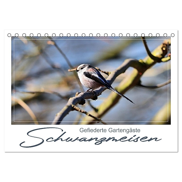 Gefiederte Gartengäste, Schwanzmeisen (Tischkalender 2024 DIN A5 quer), CALVENDO Monatskalender, Calvendo