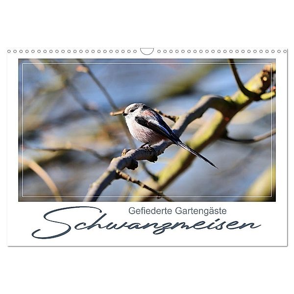 Gefiederte Gartengäste, Schwanzmeisen (Wandkalender 2024 DIN A3 quer), CALVENDO Monatskalender, Calvendo