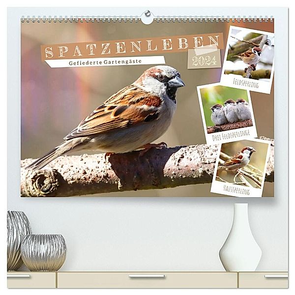Gefiederte Gartengäste, Spatzenleben (hochwertiger Premium Wandkalender 2024 DIN A2 quer), Kunstdruck in Hochglanz, Sabine Löwer