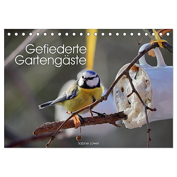 Gefiederte Gartengäste (Tischkalender 2024 DIN A5 quer), CALVENDO Monatskalender, Sabine Löwer