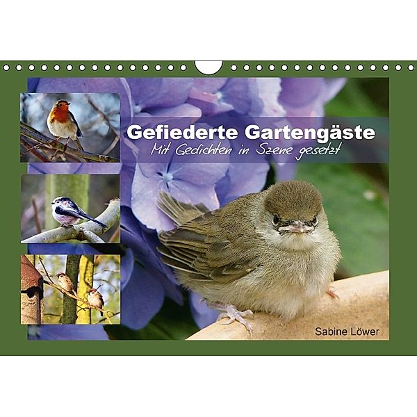 Gefiederte Gartengäste (Wandkalender 2018 DIN A4 quer), Sabine Löwer