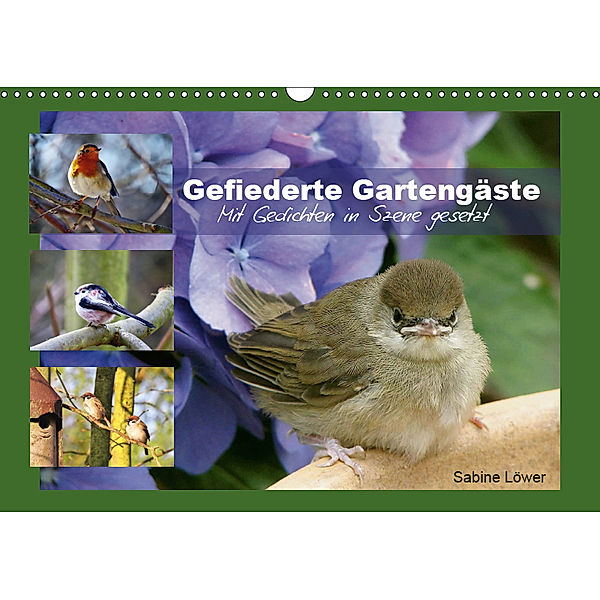 Gefiederte Gartengäste (Wandkalender 2019 DIN A3 quer), Sabine Löwer