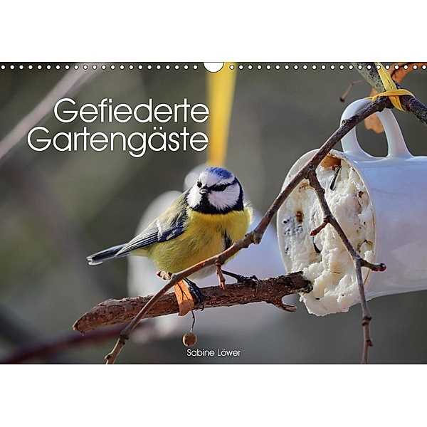 Gefiederte Gartengäste (Wandkalender 2020 DIN A3 quer), Sabine Löwer