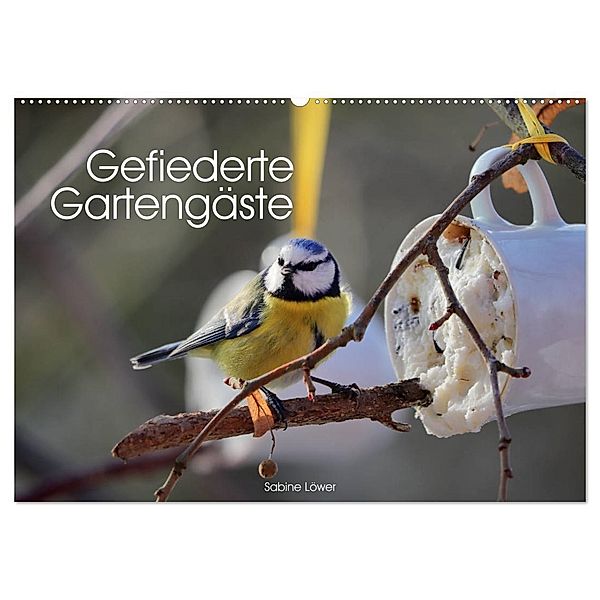 Gefiederte Gartengäste (Wandkalender 2024 DIN A2 quer), CALVENDO Monatskalender, Sabine Löwer