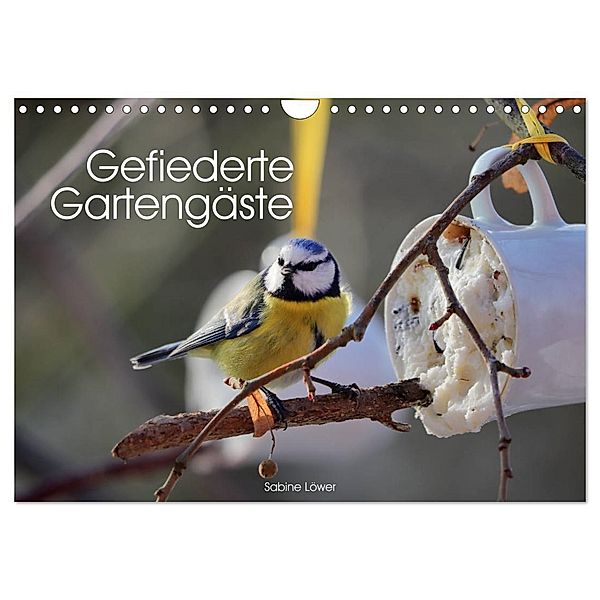 Gefiederte Gartengäste (Wandkalender 2024 DIN A4 quer), CALVENDO Monatskalender, Sabine Löwer