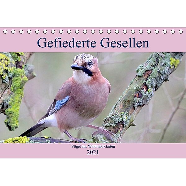 Gefiederte Gesellen - Vögel aus Wald und Garten (Tischkalender 2021 DIN A5 quer), Arno Klatt