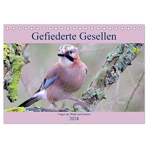 Gefiederte Gesellen - Vögel aus Wald und Garten (Tischkalender 2024 DIN A5 quer), CALVENDO Monatskalender, Arno Klatt