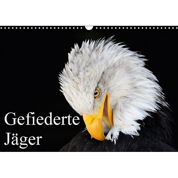 Gefiederte Jäger / Geburtstagskalender (Wandkalender 2017 DIN A3 quer), Arno Klatt