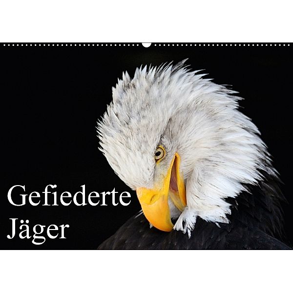 Gefiederte Jäger / Geburtstagskalender (Wandkalender 2018 DIN A2 quer), Arno Klatt