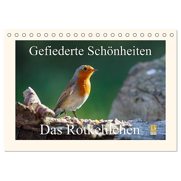 Gefiederte Schönheiten - Das Rotkehlchen (Tischkalender 2024 DIN A5 quer), CALVENDO Monatskalender, rolf pötsch