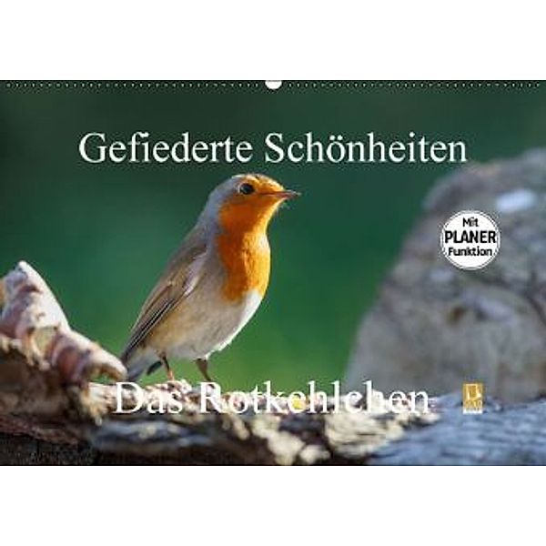 Gefiederte Schönheiten - Das Rotkehlchen / Planer (Wandkalender 2016 DIN A2 quer), Rolf Pötsch