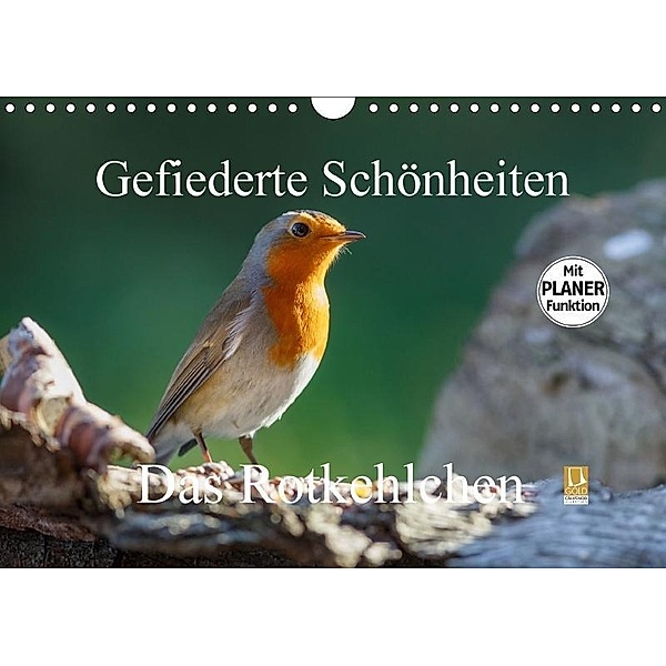 Gefiederte Schönheiten - Das Rotkehlchen / Planer (Wandkalender 2017 DIN A4 quer), Rolf Pötsch