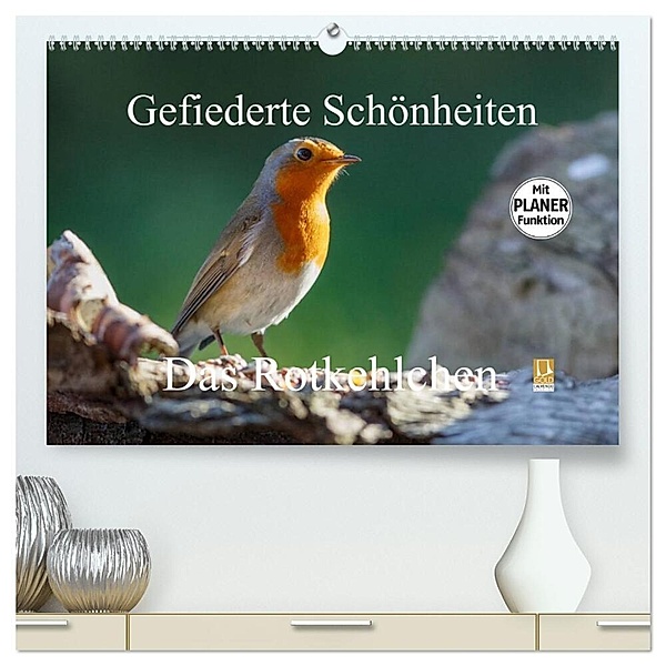 Gefiederte Schönheiten - Das Rotkehlchen / Planer (hochwertiger Premium Wandkalender 2024 DIN A2 quer), Kunstdruck in Hochglanz, rolf pötsch