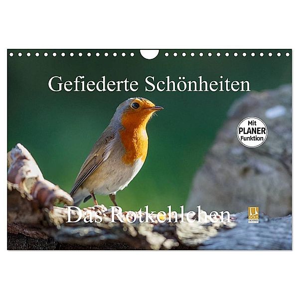 Gefiederte Schönheiten - Das Rotkehlchen / Planer (Wandkalender 2024 DIN A4 quer), CALVENDO Monatskalender, rolf pötsch