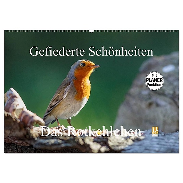 Gefiederte Schönheiten - Das Rotkehlchen / Planer (Wandkalender 2024 DIN A2 quer), CALVENDO Monatskalender, rolf pötsch