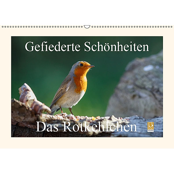 Gefiederte Schönheiten - Das Rotkehlchen (Wandkalender 2019 DIN A2 quer), rolf pötsch