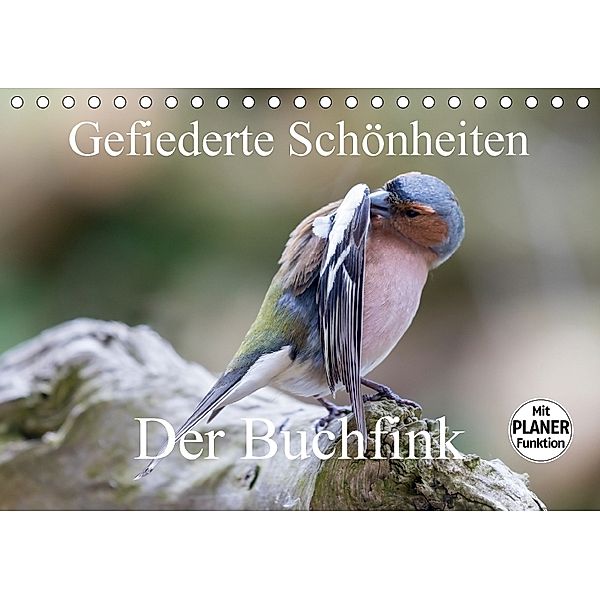 Gefiederte Schönheiten - Der Buchfink (Tischkalender 2018 DIN A5 quer) Dieser erfolgreiche Kalender wurde dieses Jahr mi, rolf pötsch