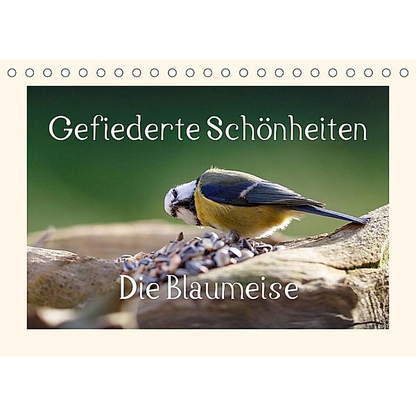 Gefiederte Schönheiten - Die Blaumeise (Tischkalender 2023 DIN A5 quer), rolf pötsch