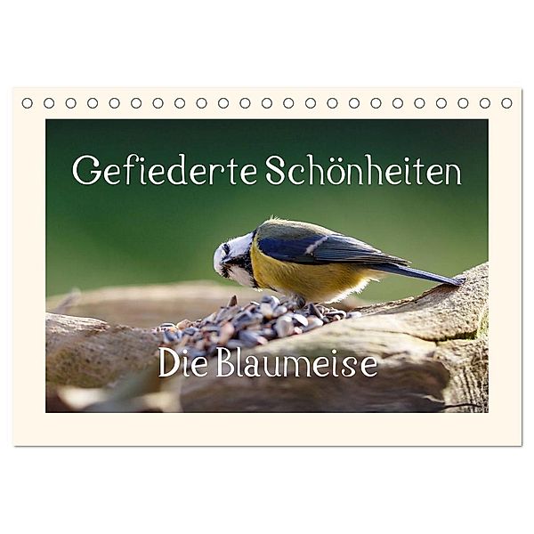 Gefiederte Schönheiten - Die Blaumeise (Tischkalender 2024 DIN A5 quer), CALVENDO Monatskalender, rolf pötsch