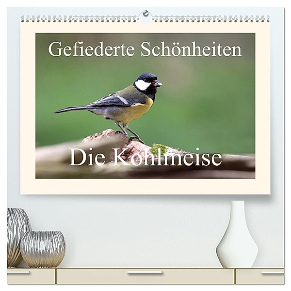 Gefiederte Schönheiten - Die Kohlmeise (hochwertiger Premium Wandkalender 2024 DIN A2 quer), Kunstdruck in Hochglanz, rolf pötsch