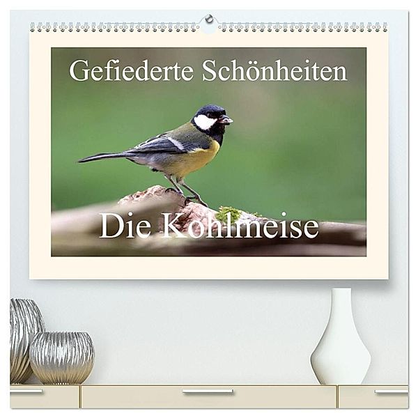 Gefiederte Schönheiten - Die Kohlmeise (hochwertiger Premium Wandkalender 2025 DIN A2 quer), Kunstdruck in Hochglanz, Calvendo, rolf pötsch