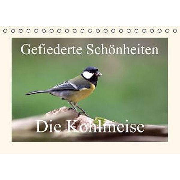 Gefiederte Schönheiten - Die Kohlmeise (Tischkalender 2015 DIN A5 quer), Rolf Pötsch