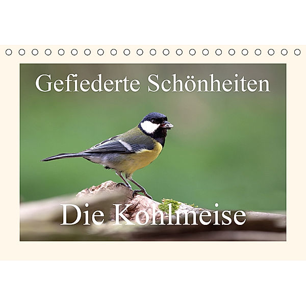 Gefiederte Schönheiten - Die Kohlmeise (Tischkalender 2020 DIN A5 quer), Rolf Pötsch