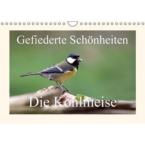 Gefiederte Schönheiten - Die Kohlmeise (Wandkalender 2015 DIN A4 quer), Rolf Pötsch