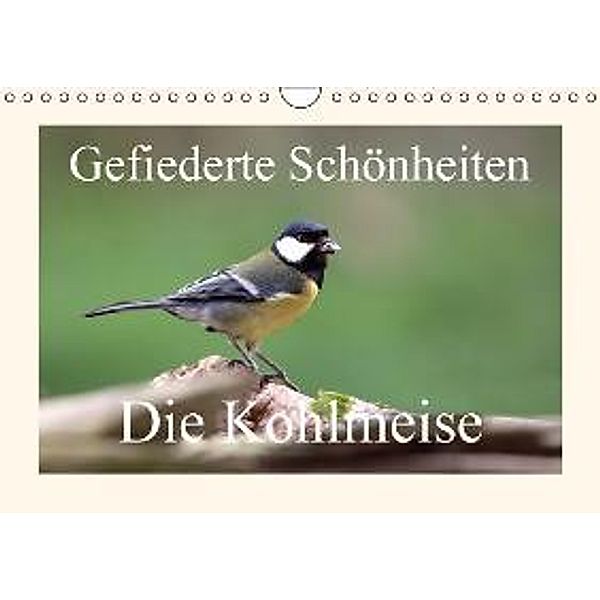 Gefiederte Schönheiten - Die Kohlmeise (Wandkalender 2016 DIN A4 quer), Rolf Pötsch