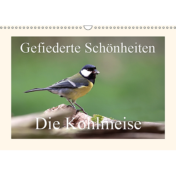 Gefiederte Schönheiten - Die Kohlmeise (Wandkalender 2019 DIN A3 quer), Rolf Pötsch