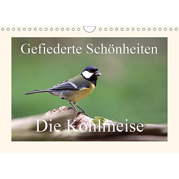 Gefiederte Schönheiten - Die Kohlmeise (Wandkalender 2021 DIN A4 quer), Rolf Pötsch