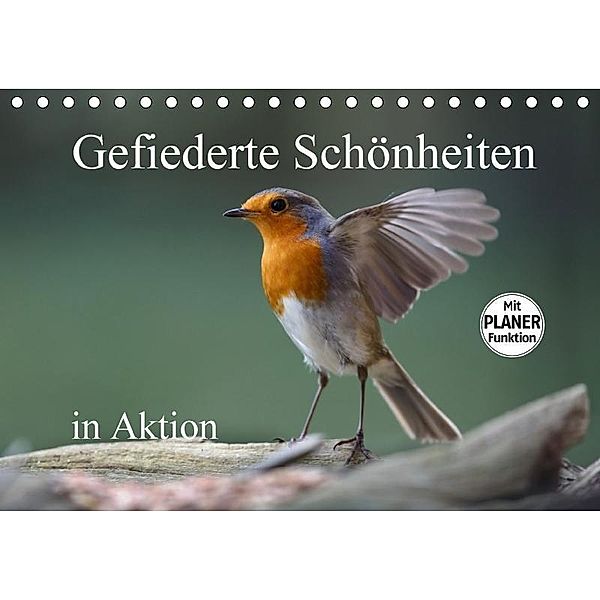 Gefiederte Schönheiten in Aktion (Tischkalender 2017 DIN A5 quer), Rolf Pötsch