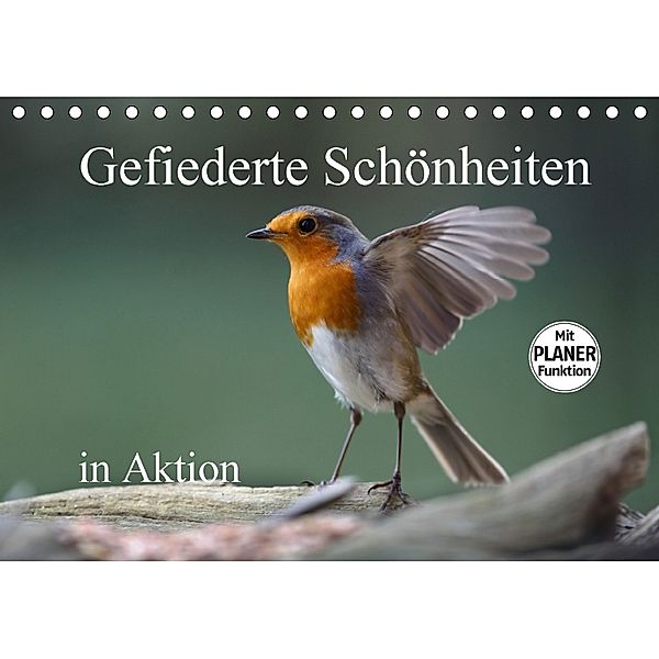 Gefiederte Schönheiten in Aktion (Tischkalender 2018 DIN A5 quer), Rolf Pötsch