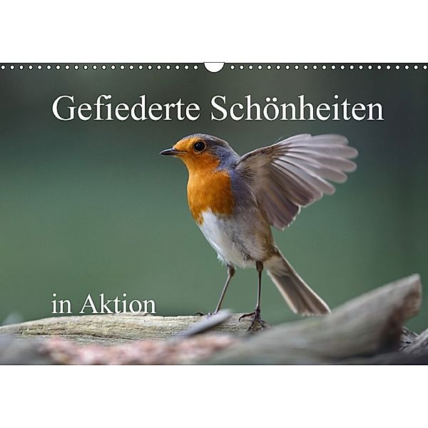 Gefiederte Schönheiten in Aktion (Wandkalender 2018 DIN A3 quer), Rolf Pötsch