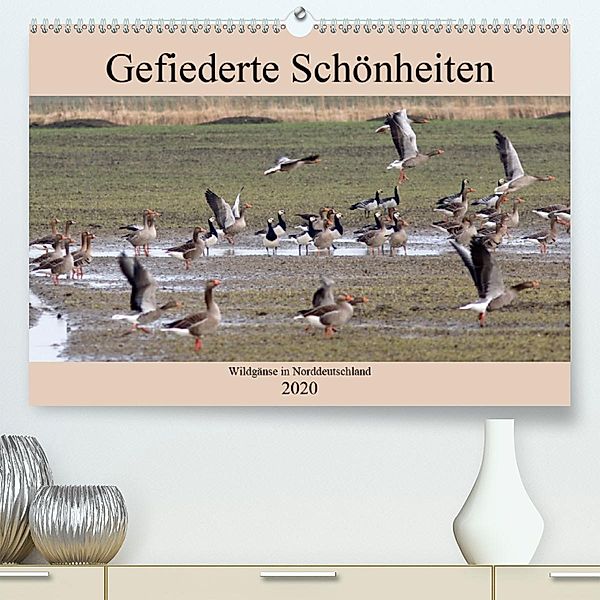 Gefiederte Schönheiten - Wildgänse in Norddeutschland (Premium-Kalender 2020 DIN A2 quer), Rolf Pötsch