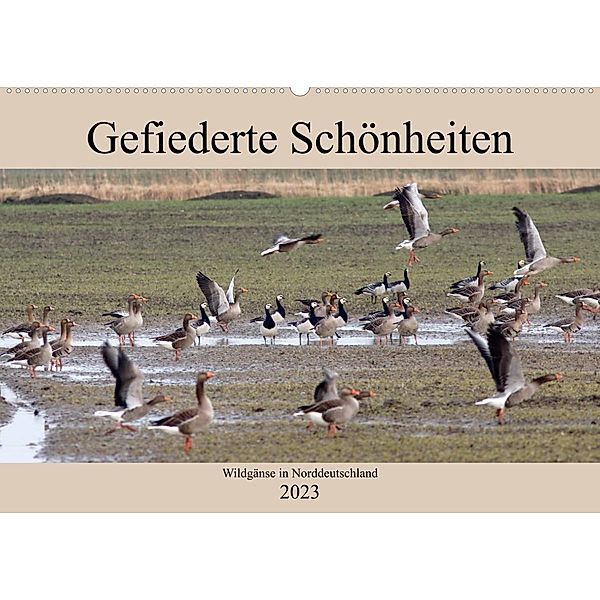 Gefiederte Schönheiten - Wildgänse in Norddeutschland (Wandkalender 2023 DIN A2 quer), rolf pötsch