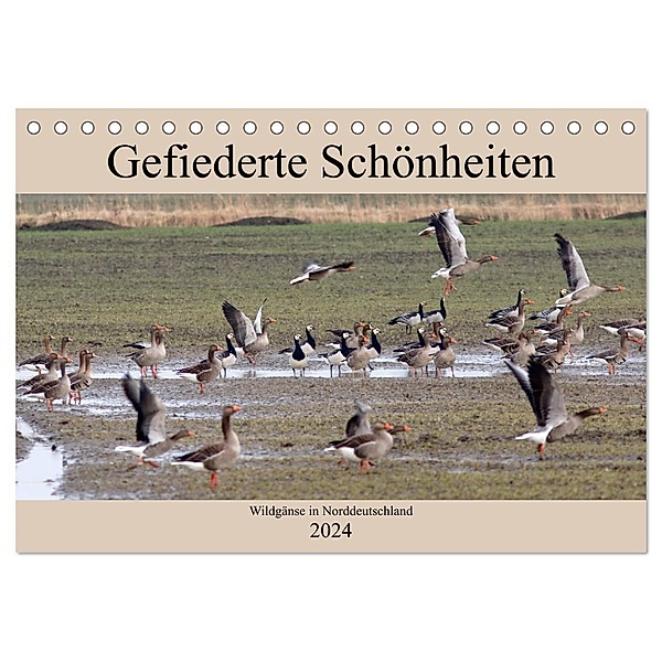 Gefiederte Schönheiten - Wildgänse in Norddeutschland (Tischkalender 2024 DIN A5 quer), CALVENDO Monatskalender, rolf pötsch