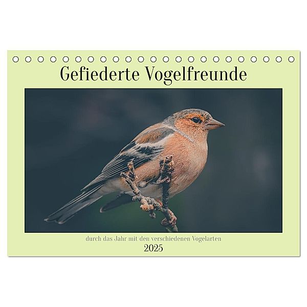 Gefiederte Vogelfreunde (Tischkalender 2025 DIN A5 quer), CALVENDO Monatskalender, Calvendo, Simone Sperber