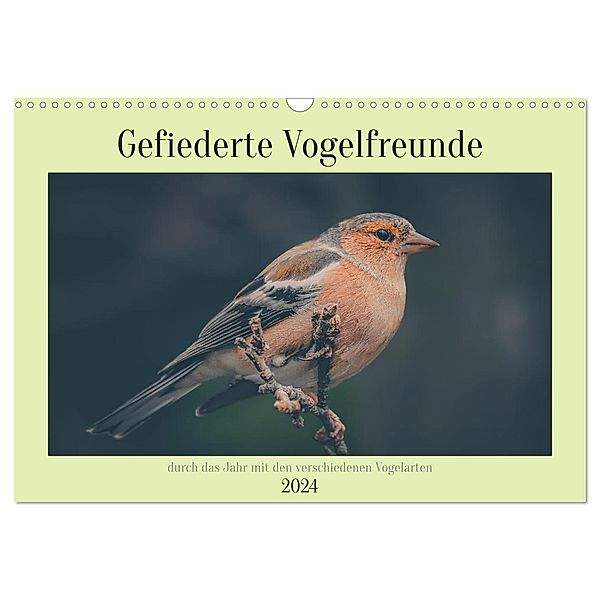 Gefiederte Vogelfreunde (Wandkalender 2024 DIN A3 quer), CALVENDO Monatskalender, Simone Sperber