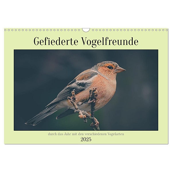 Gefiederte Vogelfreunde (Wandkalender 2025 DIN A3 quer), CALVENDO Monatskalender, Calvendo, Simone Sperber