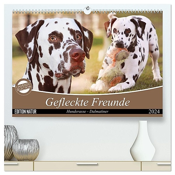 Gefleckte Freunde - Hunderasse Dalmatiner (hochwertiger Premium Wandkalender 2024 DIN A2 quer), Kunstdruck in Hochglanz, Barbara Mielewczyk