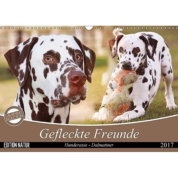 Gefleckte Freunde - Hunderasse Dalmatiner (Wandkalender 2017 DIN A3 quer), Barbara Mielewczyk
